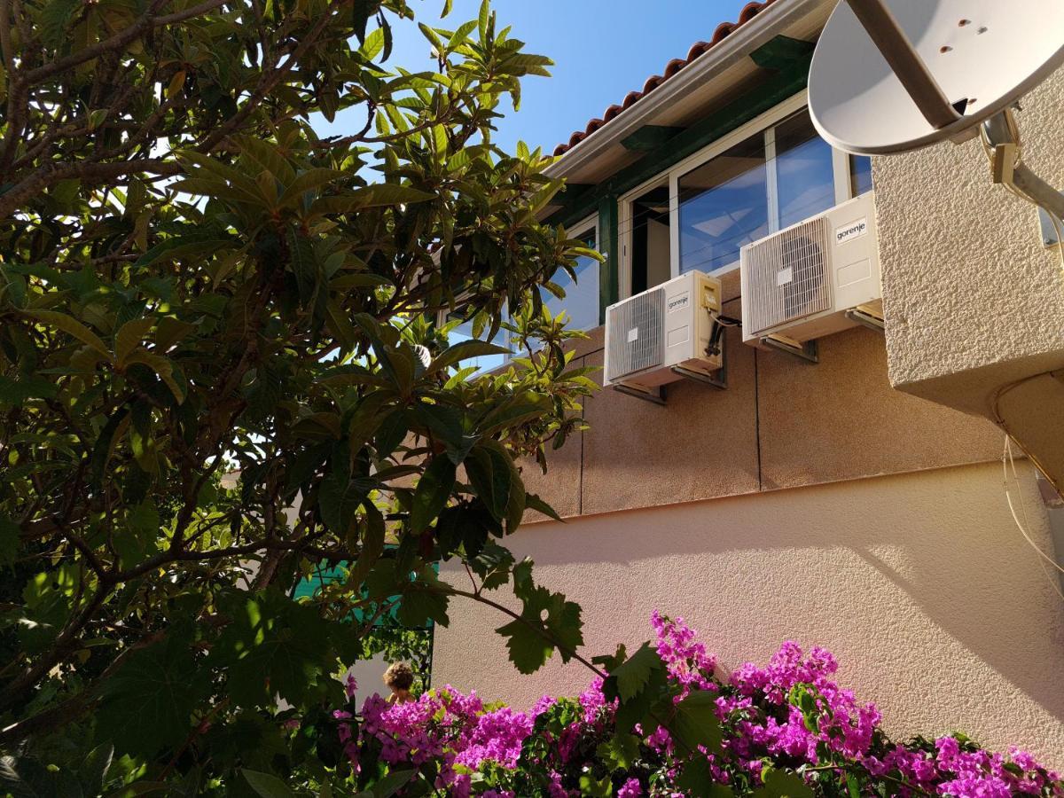 Apartments Dolac Primošten Εξωτερικό φωτογραφία